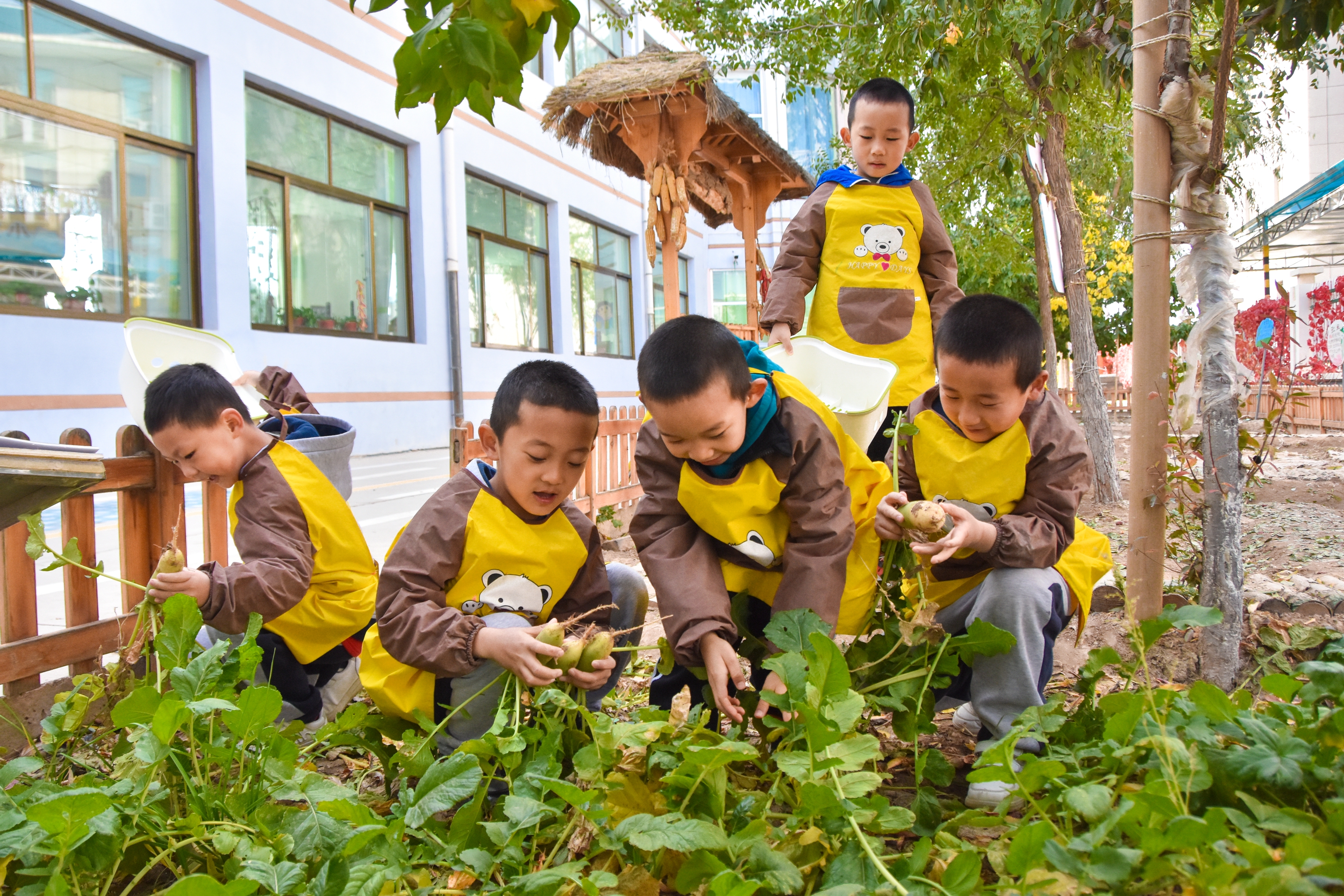 1.甘肅臨澤：濱河幼兒園“種植農(nóng)場(chǎng)” 體驗(yàn)農(nóng)耕樂(lè)趣4.JPG