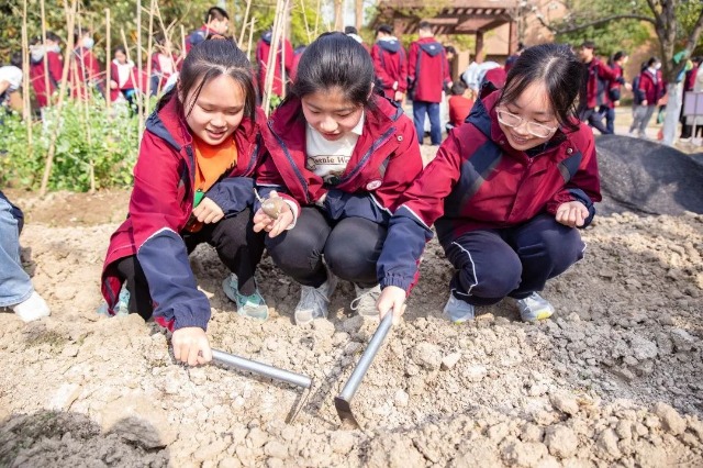 鄞州中學學生在校園農場享受種植的樂趣 學校供圖.jpg